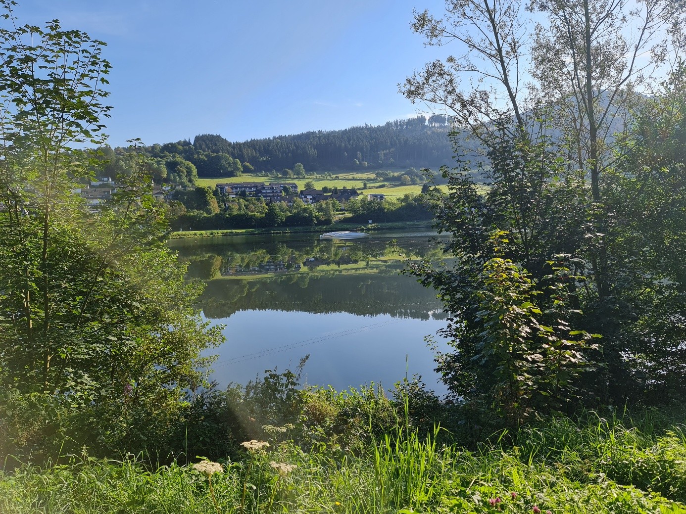 Ruhiger See, umgeben von Bäumen und Hügeln unter klarem blauem Himmel.