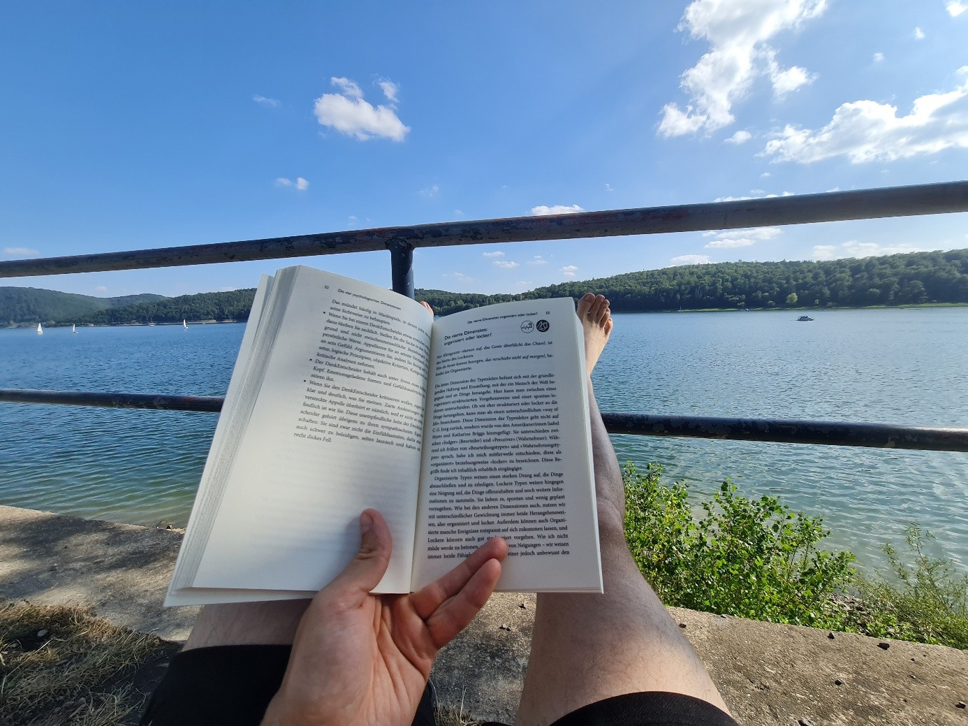 Aufgeschlagenes Buch in den Händen, im Hintergrund ein See mit Hügeln.