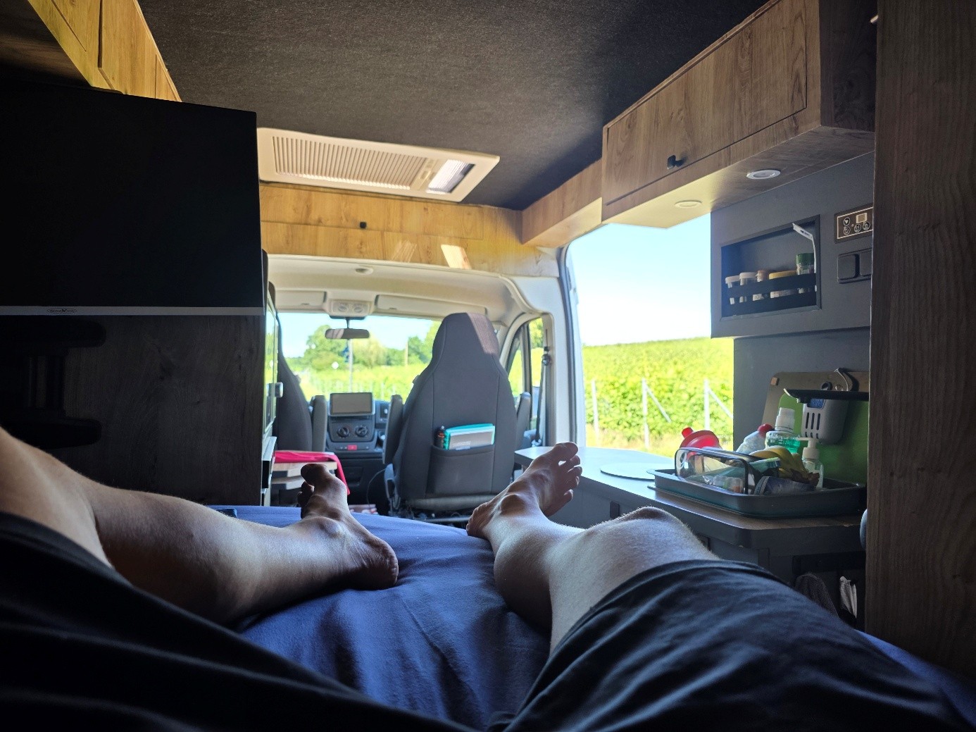 Blick aus dem Camper von der Liegefläche durch die offene Schiebetür auf einen Weinberg.