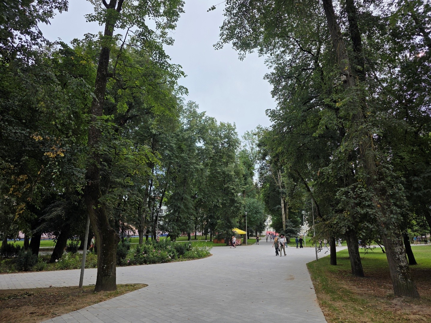 Ein gepflasterter Weg führt durch einen Park mit hohen, belaubten Bäumen.