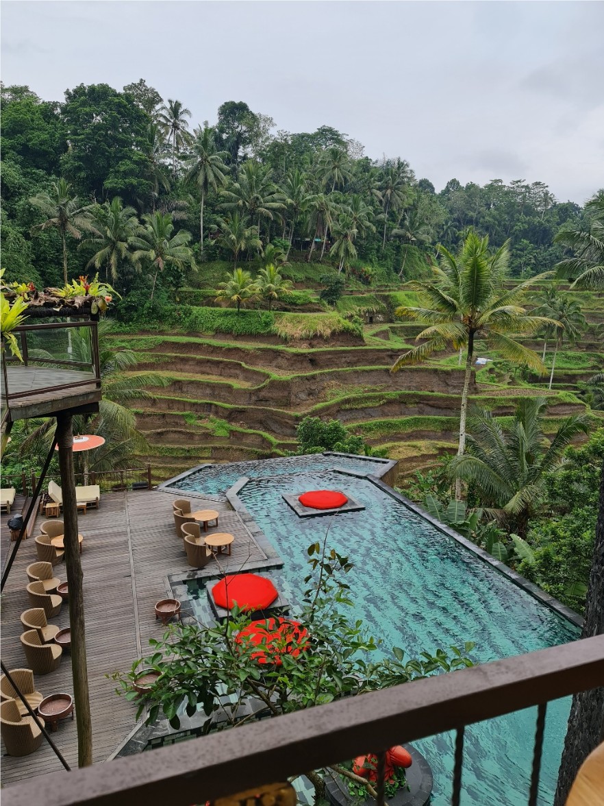 Pool mit runden roten Liegekissen vor grünen Reisterrassen auf Bali.